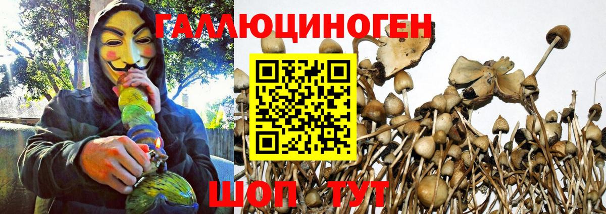 Галлюциногенные грибы GOLDEN TEACHER Хабаровск