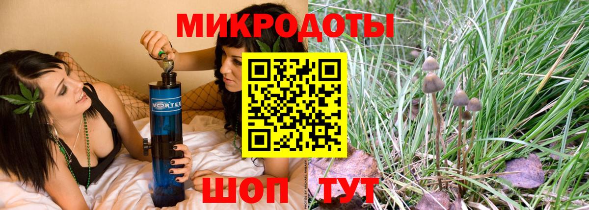 Галлюциногенные грибы Psilocybe  Вход с VPN  Хабаровск  Галлюциногенные грибы мицелий 